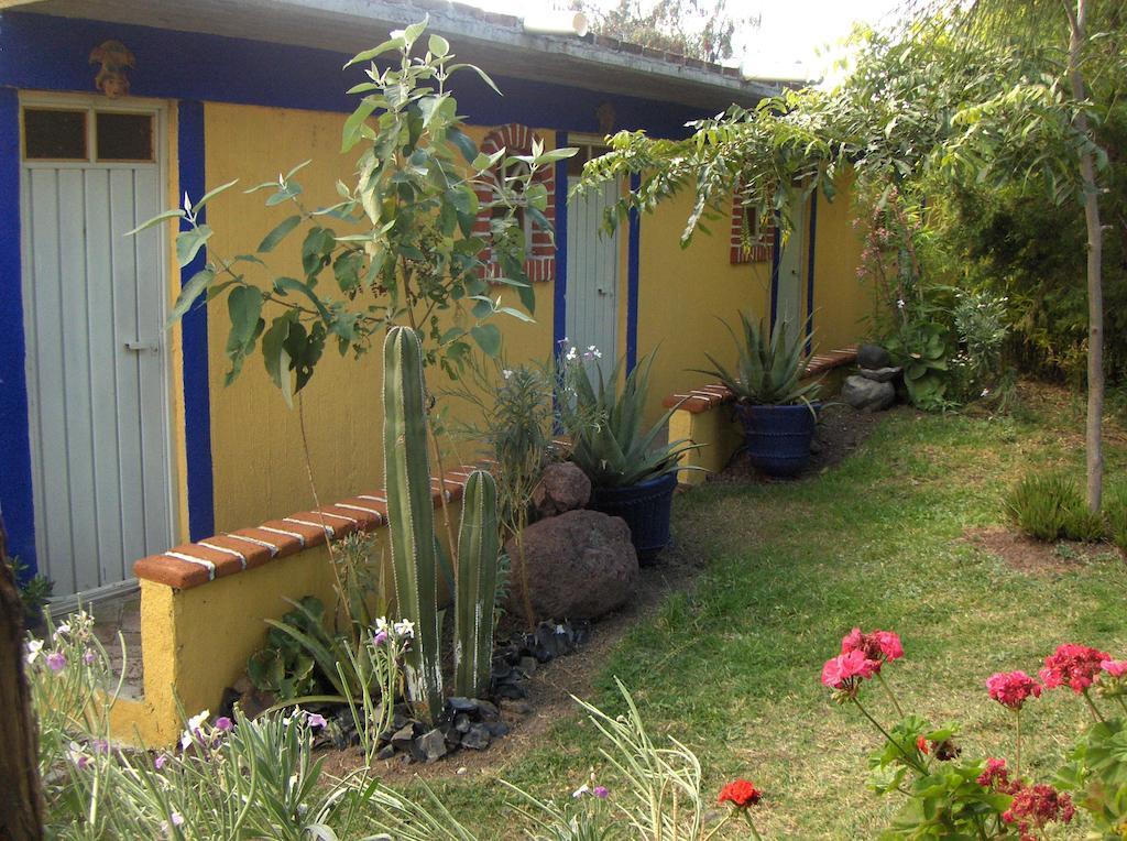 Hôtel Temazcal Tepeyolotli à San Juan Teotihuacán Chambre photo
